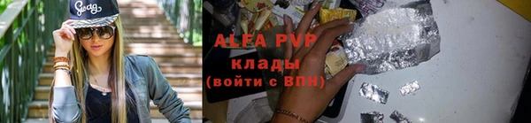 ГАЛЛЮЦИНОГЕННЫЕ ГРИБЫ Карталы