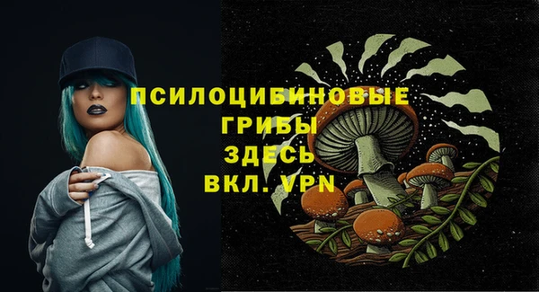 ГАЛЛЮЦИНОГЕННЫЕ ГРИБЫ Карталы