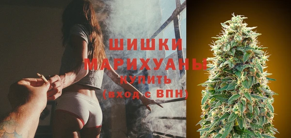 ГАЛЛЮЦИНОГЕННЫЕ ГРИБЫ Карталы