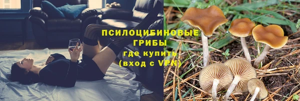 ECSTASY Кинешма