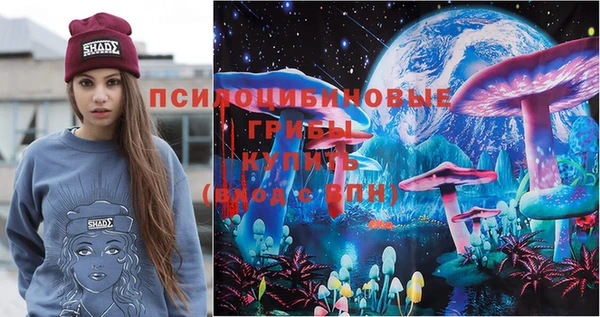 ГАЛЛЮЦИНОГЕННЫЕ ГРИБЫ Карталы